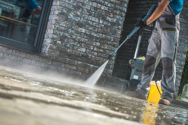 Best Winterizing Services  in Suncoast Estates, FL