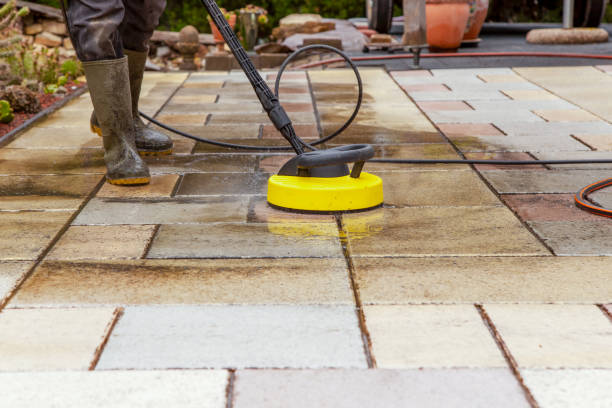 Best Boat and Dock Cleaning  in Suncoast Estates, FL